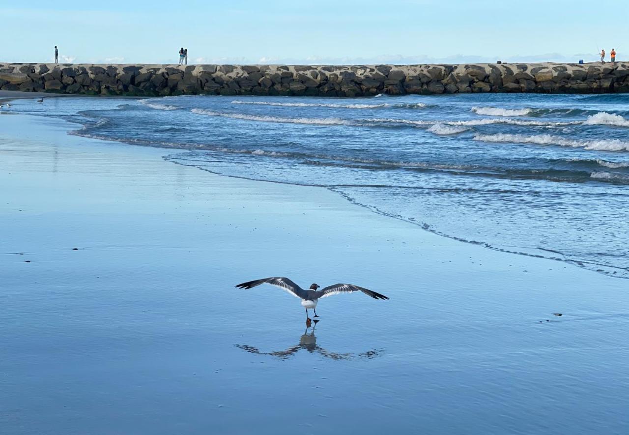 Atlantic City-waterfront Park-amazing 360 Views *